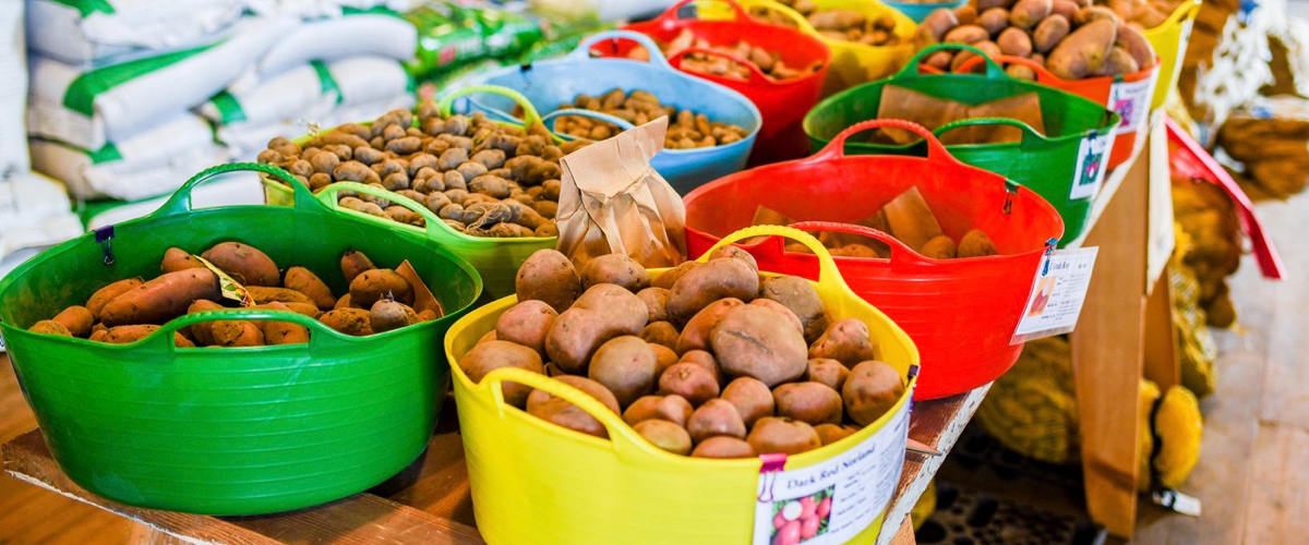 seasonal-crops-country-farm-and-home